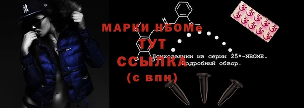 дмт Касимов