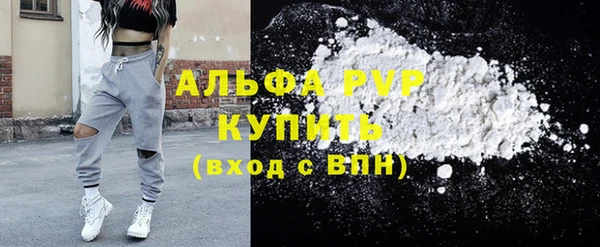 дмт Касимов