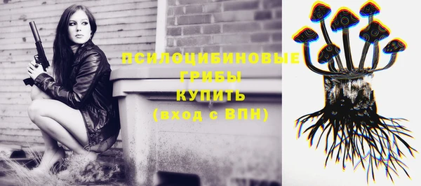дмт Касимов