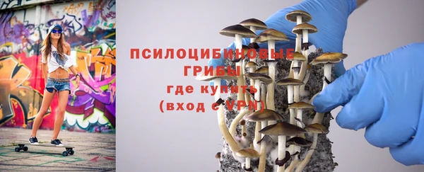 дмт Касимов